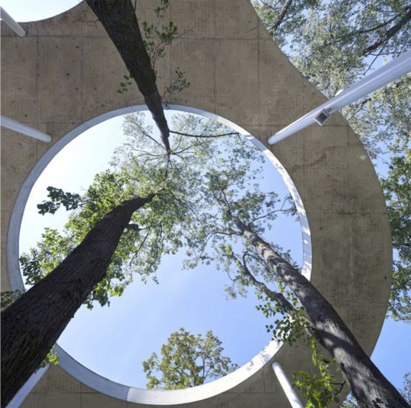 Medžių architektūra: Lietuvos paviljonas 2025-ųjų Venecijos architektūros bienalėje
